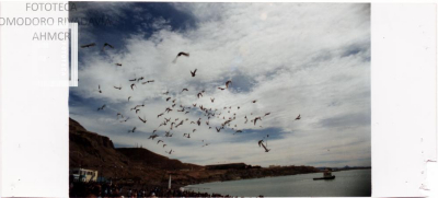 Aniversario de Comodoro Rivadavia - Flor de la Esperanza -Año 2003/2004