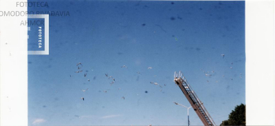 Aniversario de Comodoro Rivadavia - Flor de la Esperanza -Año 2003/2004