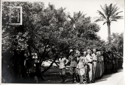 Fondo Wanda de Calandra