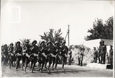 Fondo Wanda de Calandra