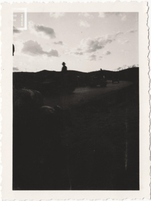 Fondo Wanda de Calandra