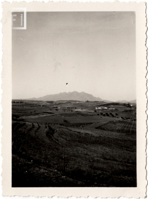 Fondo Wanda de Calandra