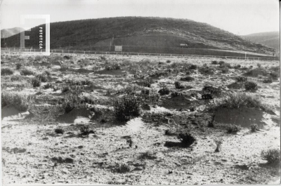 Fondo Ernesto Allende