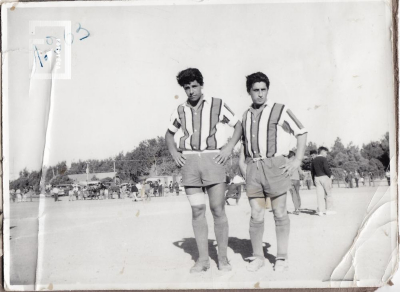 Fondo Ernesto Allende