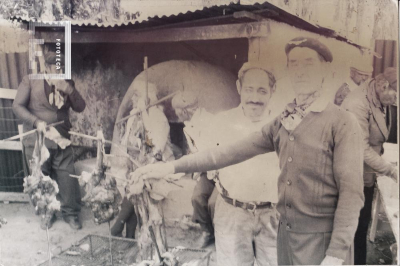 Fondo Ernesto Allende