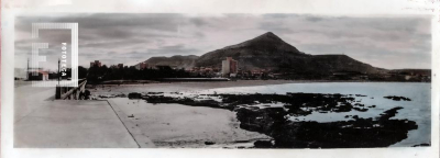 Fondo Violeta Martínez