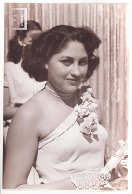 Reinas del Petróleo