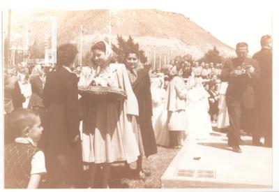 Reinas del Petróleo