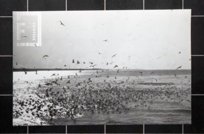 Hoja Nº6