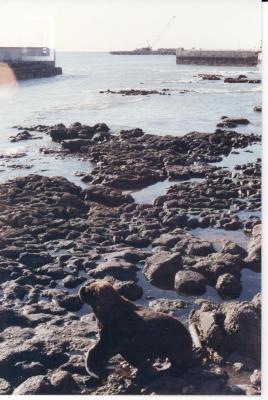Puerto Antonio Morán