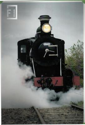 FERROCARRIL GENERAL ROCA - VIAS FERREAS Y RAMAL