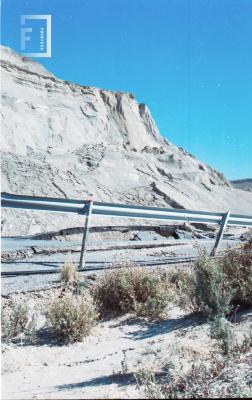 FONDO RICARDO BLANCO
