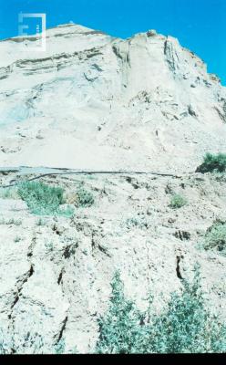 FONDO RICARDO BLANCO