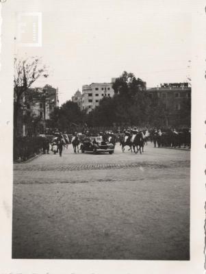 Fondo Wanda de Calandra