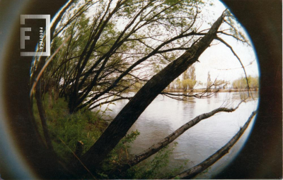 2.4.5.C.007