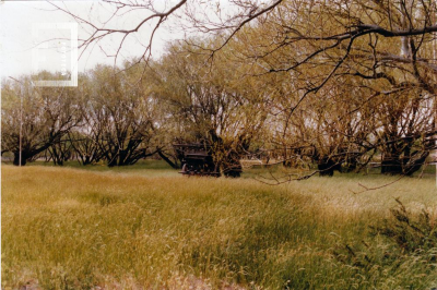 2.4.5.C.008