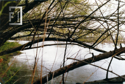 2.4.5.C.002