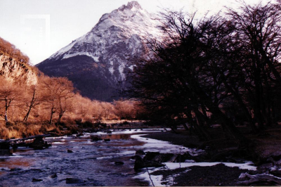 2.4.5.C.009